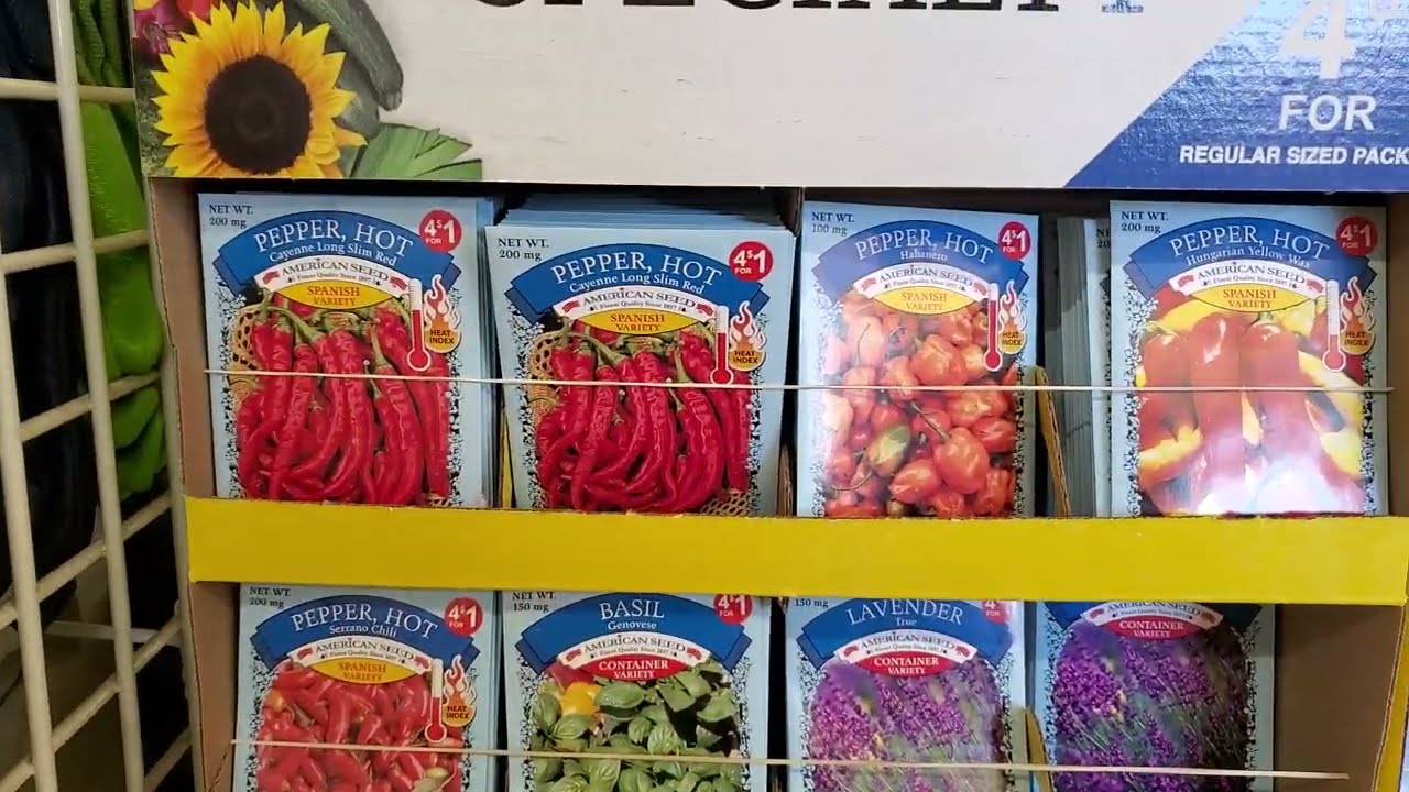 This is what's NEW in Dollar Tree's Gardening Center 2024, C'mon in! 😃👩🏾‍🌾🌻🌱🏵🌶