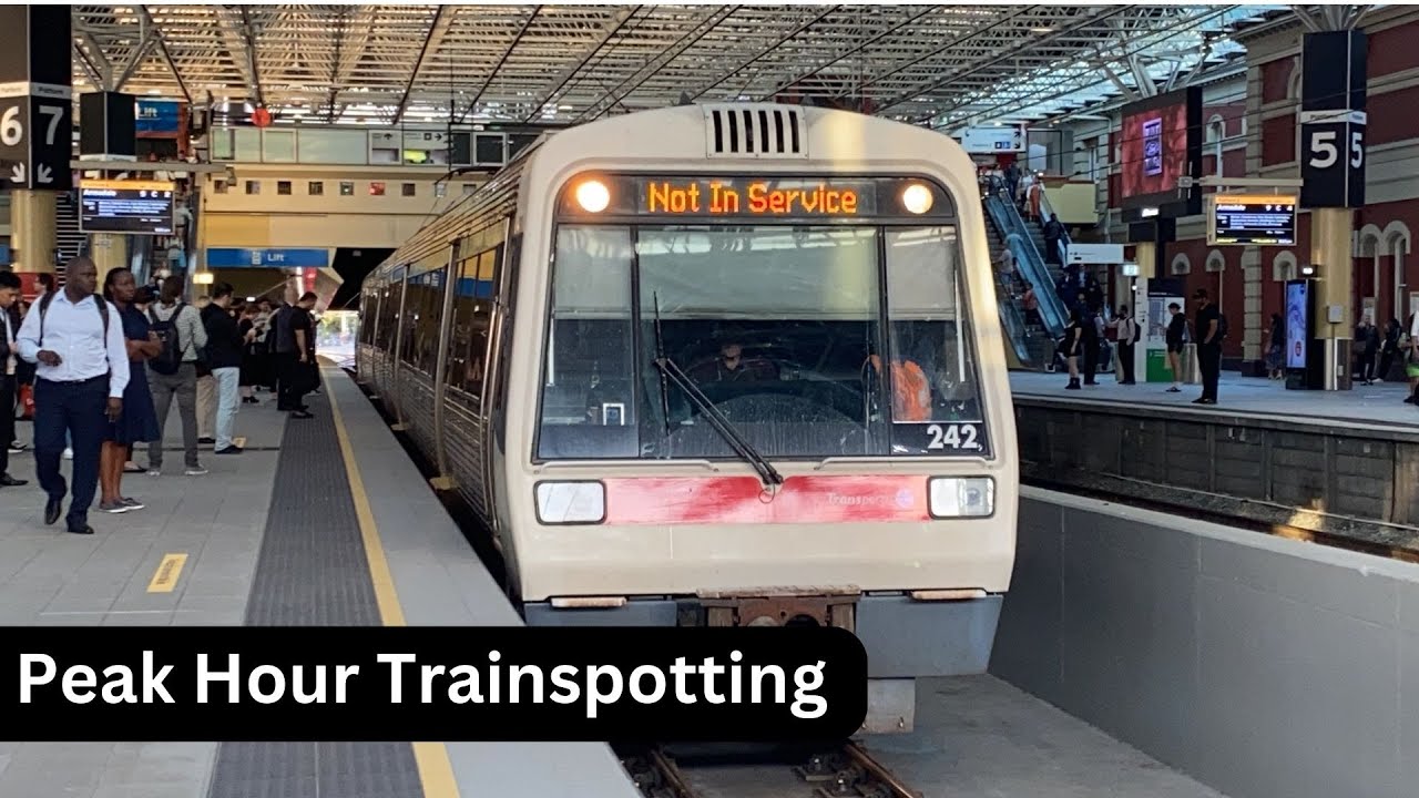 Peak Hour Trainspotting