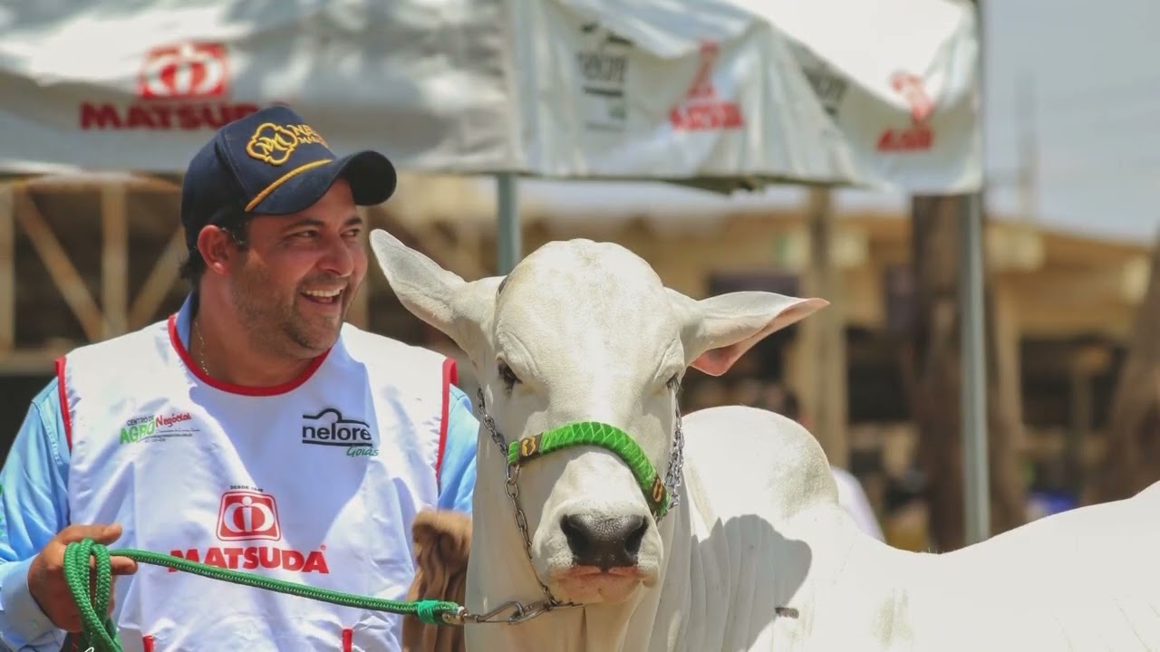 Viatina 19 - Todo grande animal tem uma grande hist&oacute;ria !