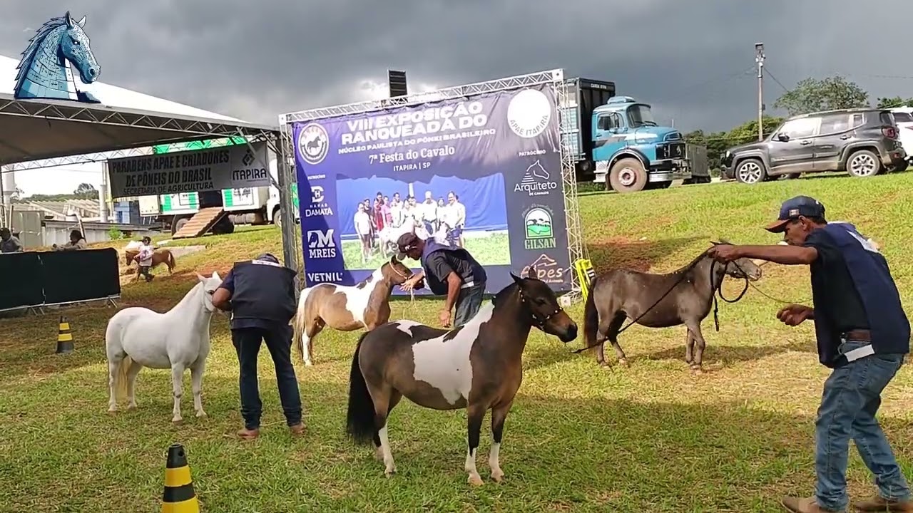 ( 7ª Festa do Cavalo da APAE de Itapira sp 2025 )