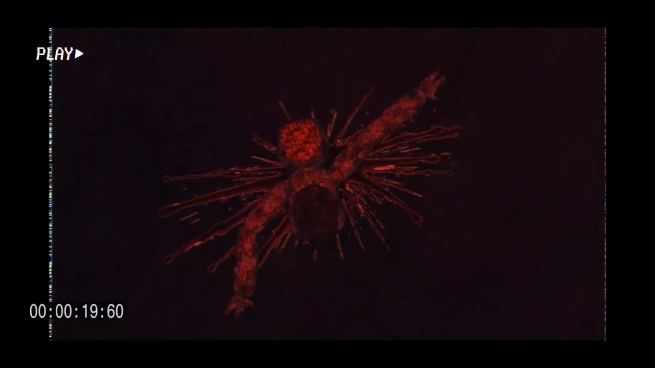 Monk Horror | Teaser Trailer