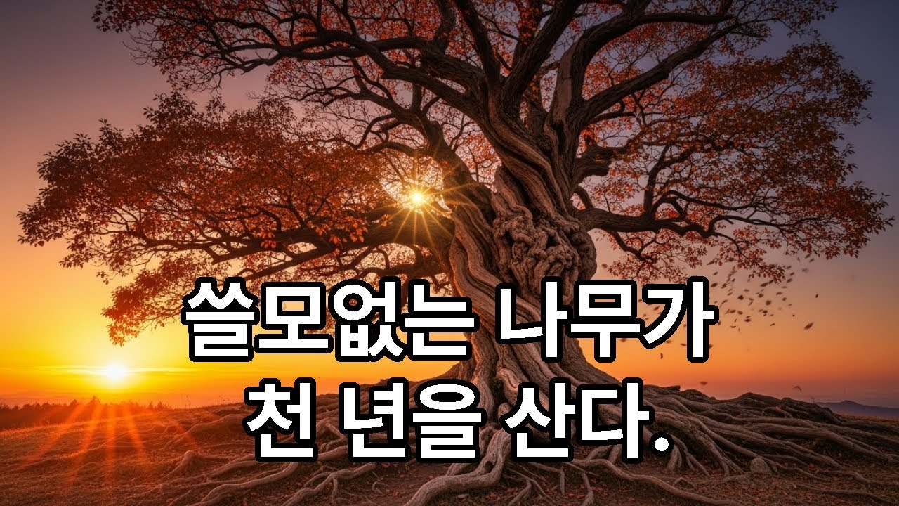 쓸모없다고 버려진 나무가 천년을 산 이유..  나이 들어서야 깨달은 충격적인 진실