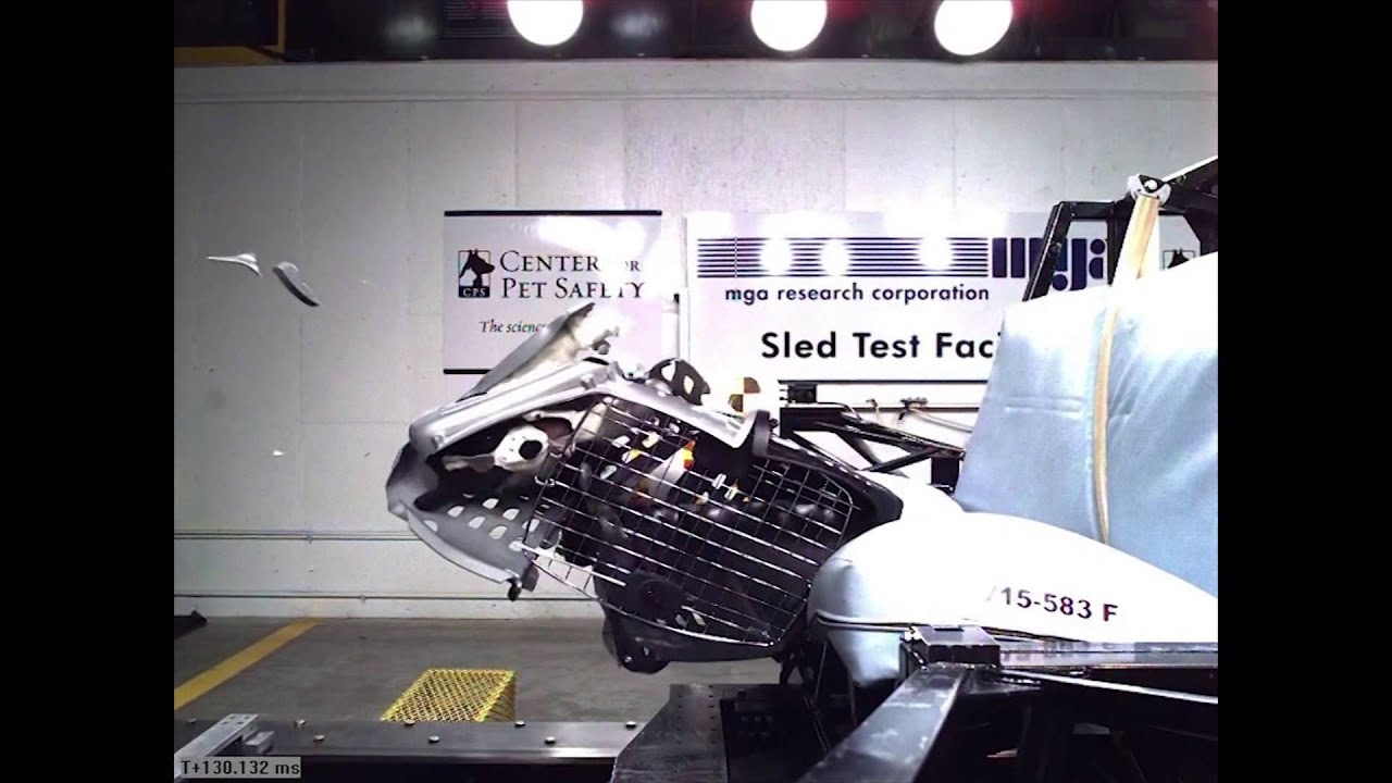 Watch pet harnesses and restraints go through crash tests