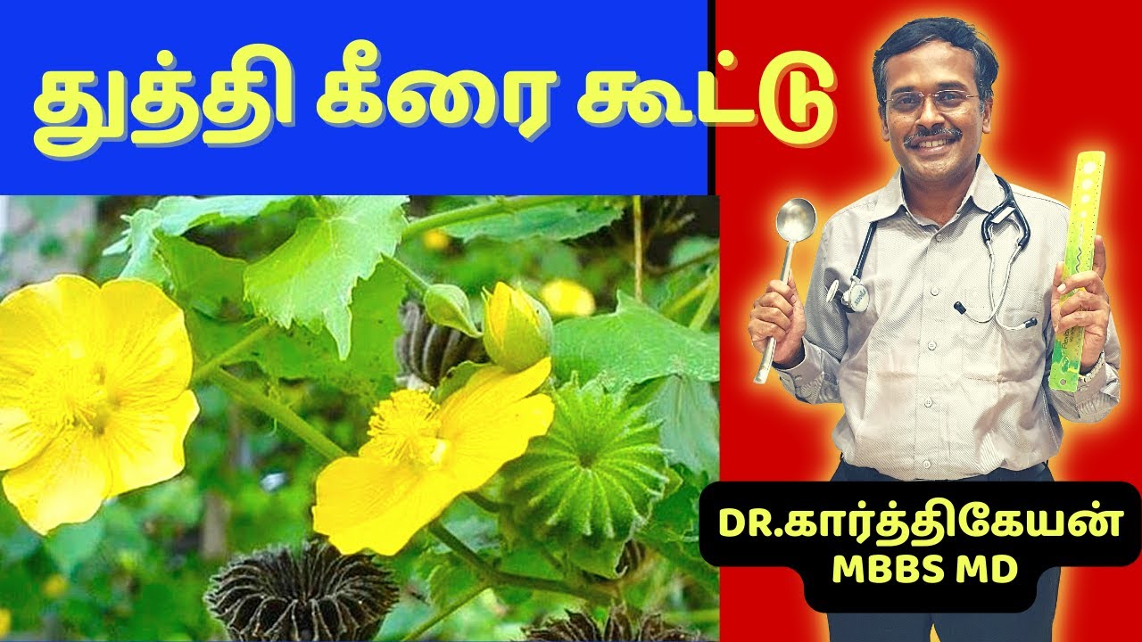 துத்தி கீரை கூட்டு நன்மைகள் | Home Remedies Tips Doctor Karthikeyan