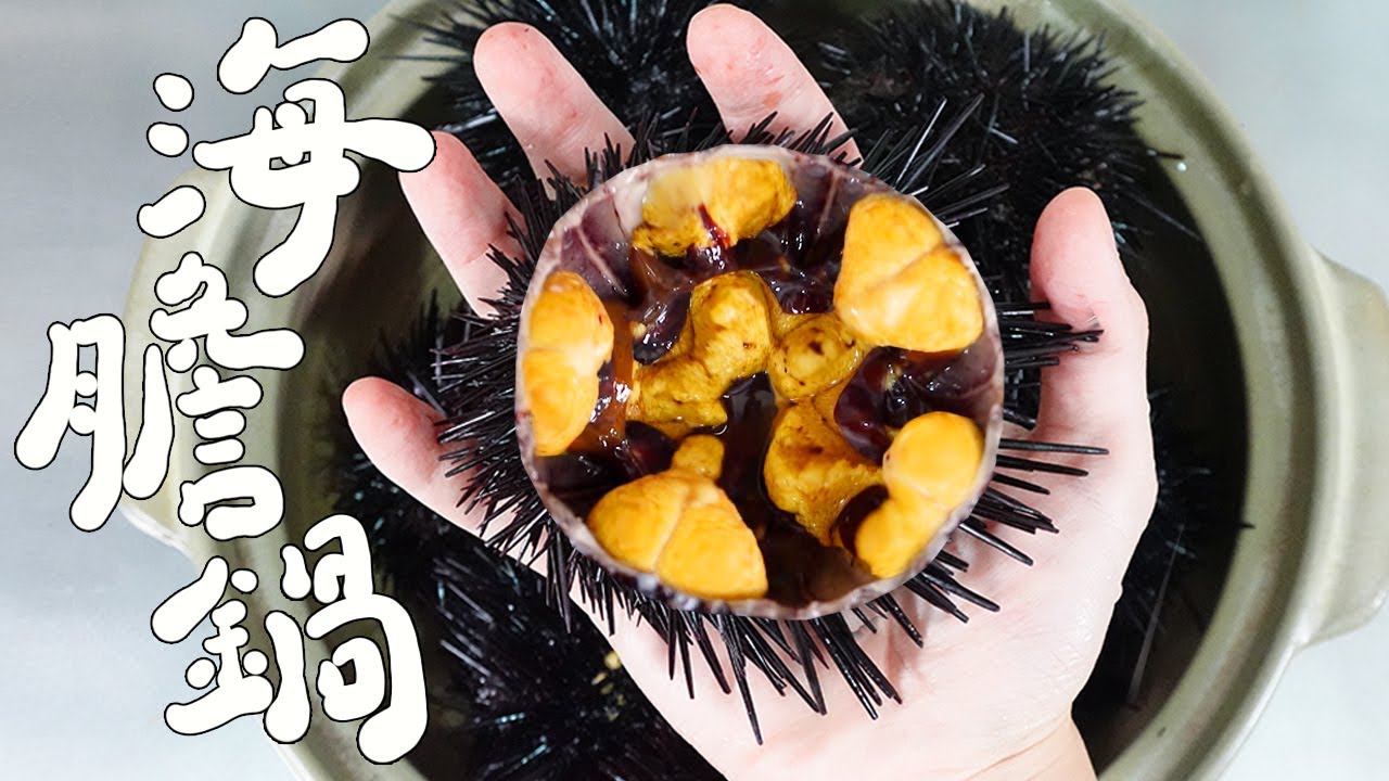 夏天最頂級的美味【 海膽火鍋 】 ｜RICOの食材圖鑑