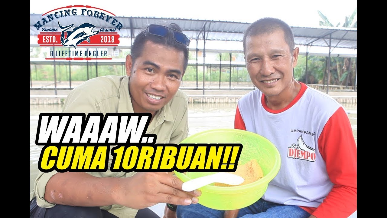 UMPAN IKAN MAS SIMPLE ALA KANG ITO WITH AGUNG SYAKIRUL