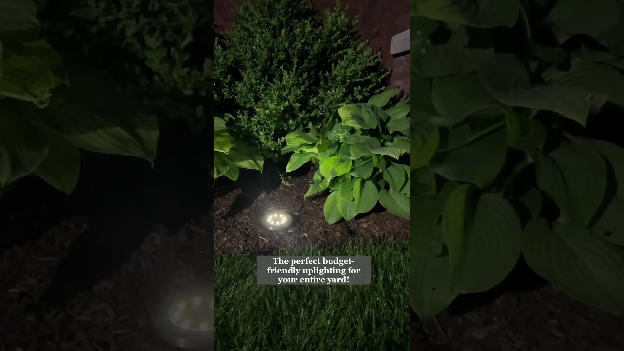 Solar Lighting Ideas To Transform Your Outdoor Space