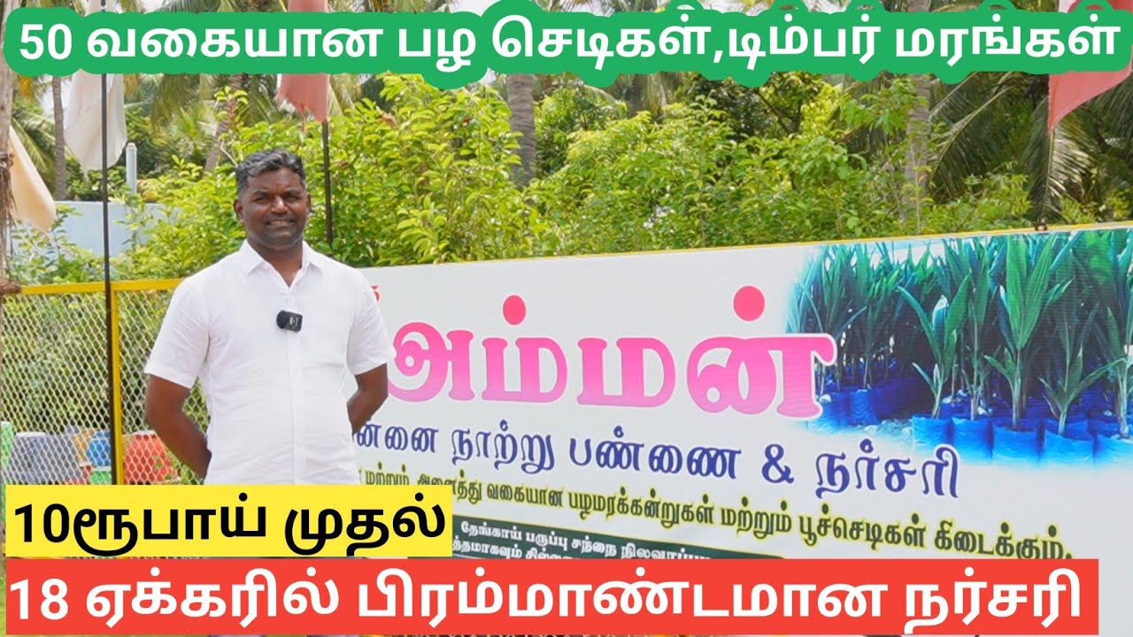 18 ஏக்கரில் பழ செடி முதல் டிம்பர் மரம் வரை வீட்டுக்கே டெலிவரி | Amman Nursery Karur