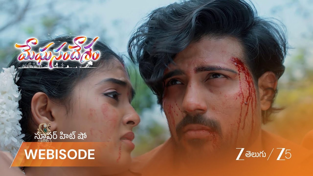 MEGHASANDESAM | భూమి ని కాపాడుకున్న గగన్