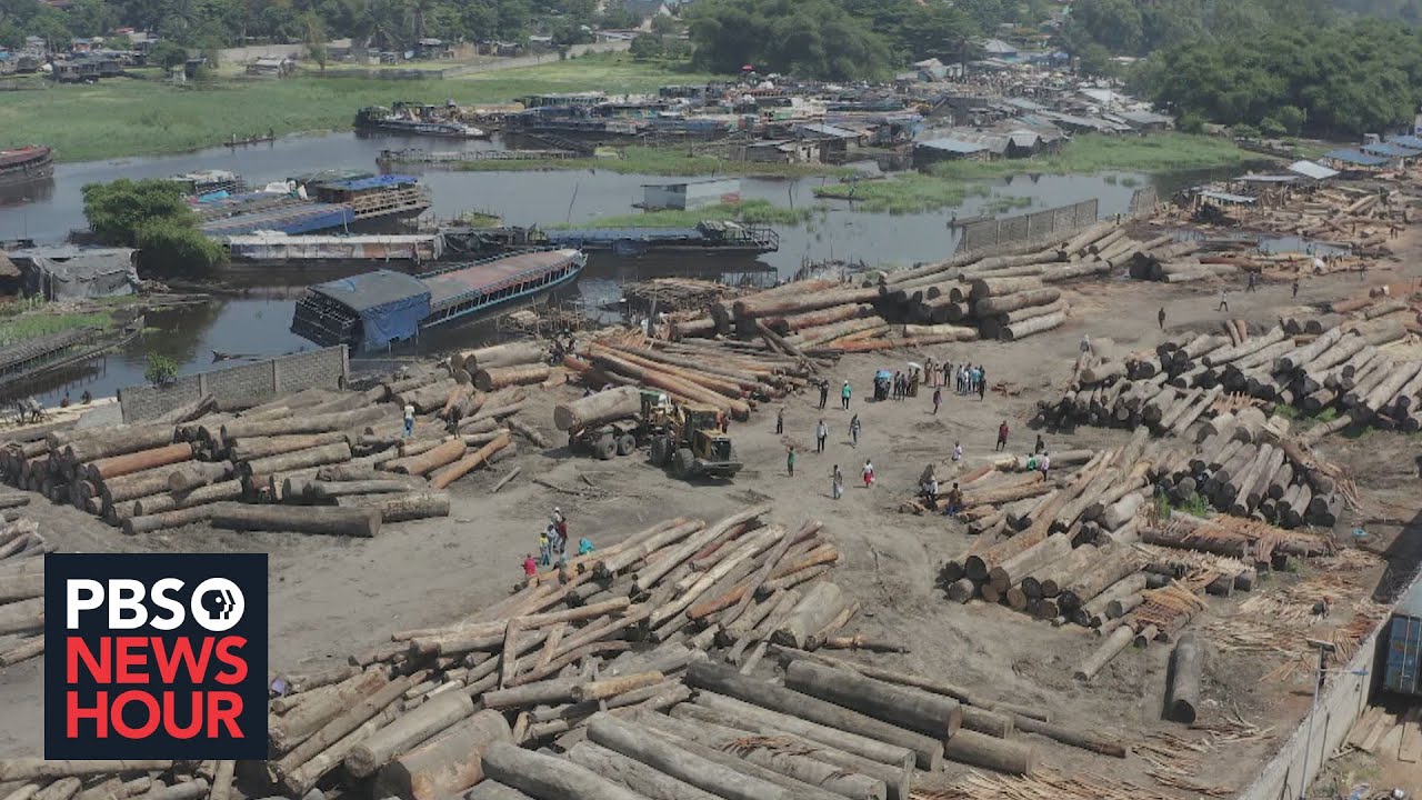 Widespread logging threatens the Congo Basin's critical rainforest