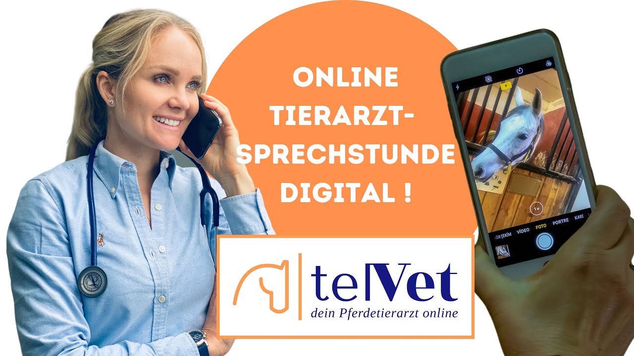 Telemedizin Pferd - Online Tier&auml;rztin