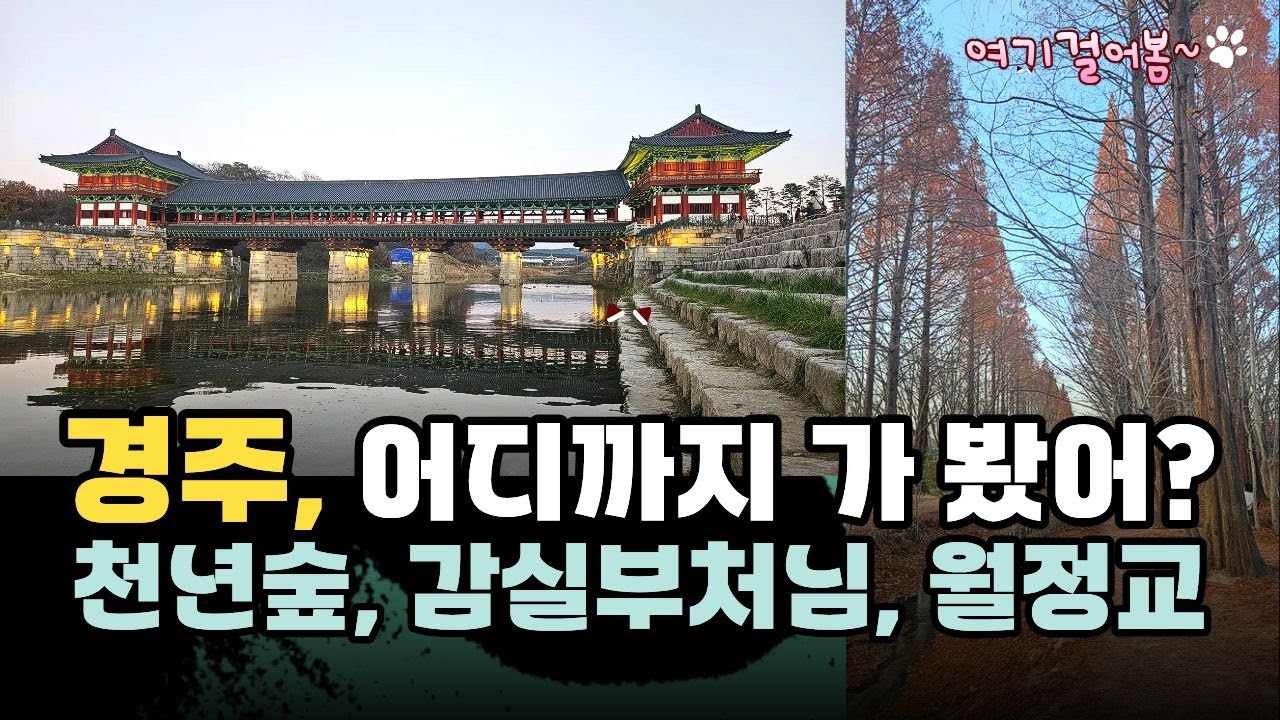 경주의 숨은 보석을 만나 봄 : 월정교, 감실부처님, 애기단풍과 옥룡암, 경북천년숲정원까지 마음이 쉬워가는 길 