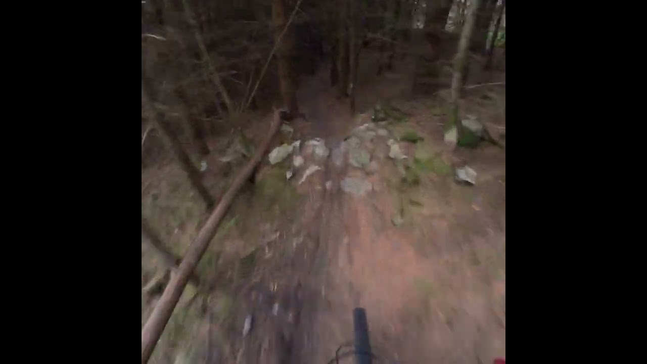 Dunkeld. hill, Atholl Hill. trail, my precious. 10/10 steep tech