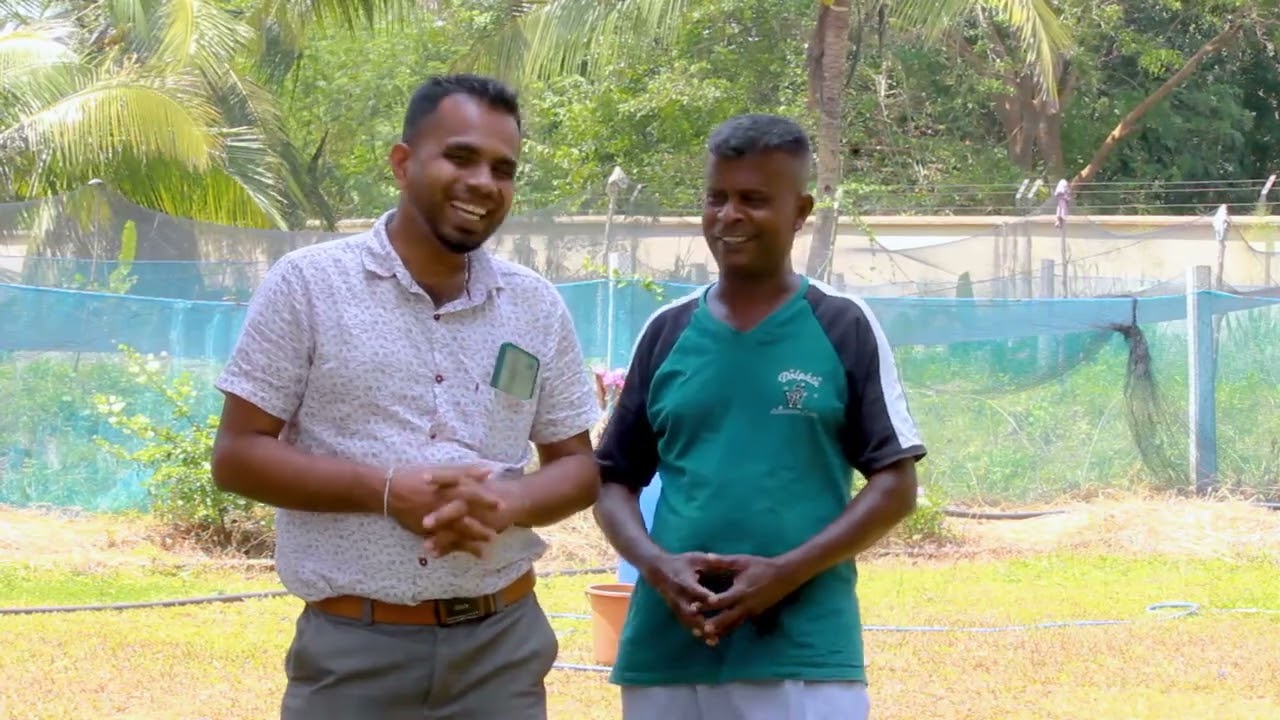අඩු ඉඩක වැඩි ආදායමක්,සමොදානික ගොවිපල ,කුකුල් මසුන් සහ වගාව .