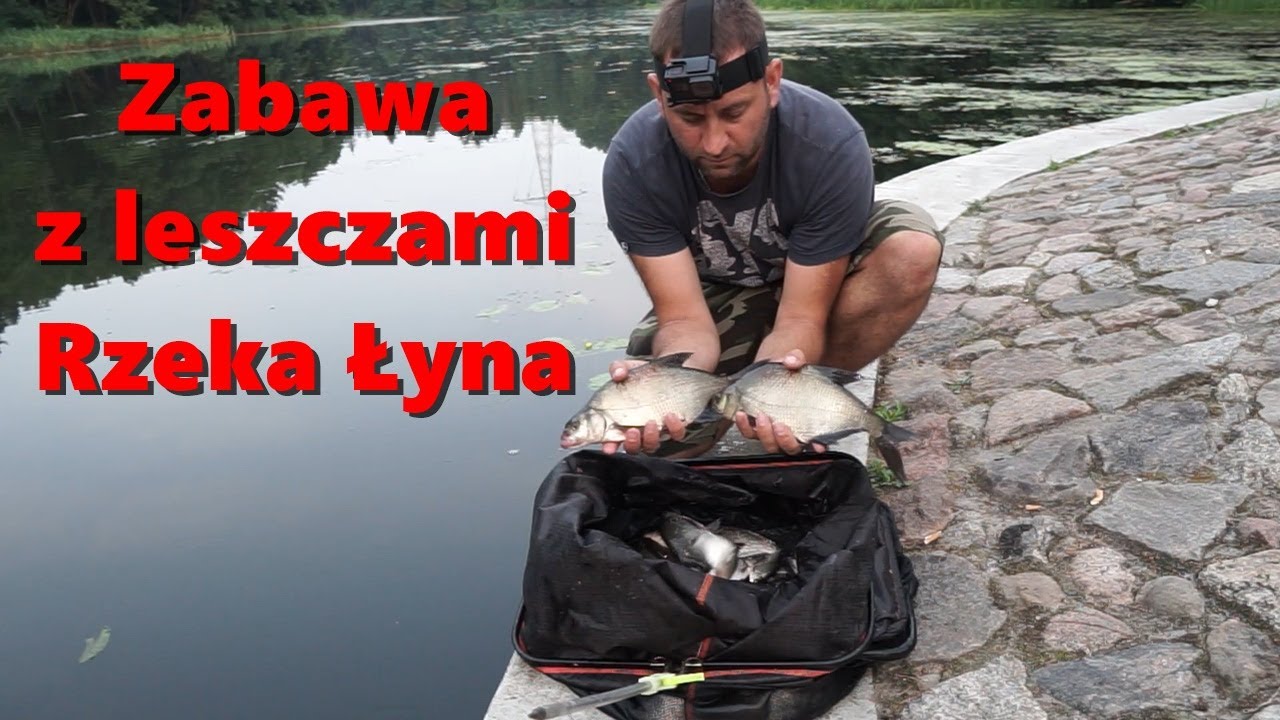 Leszcze z rzeki Łyny. Bolonka Vlog 6