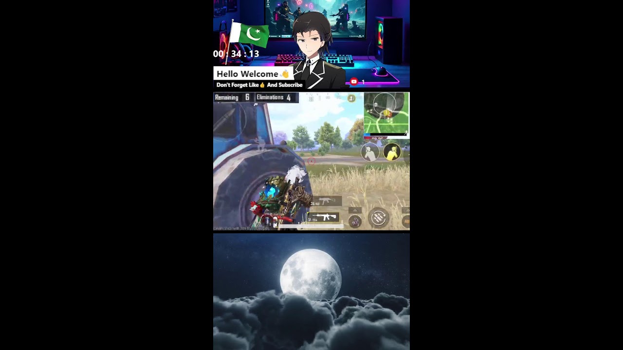 BLUE WOLF GAMERS's Live broadcast