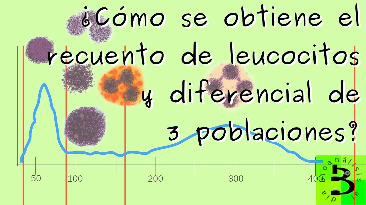 🔵 Recuento de leucocitos y diferencial de 3 sub poblaciones 🔵