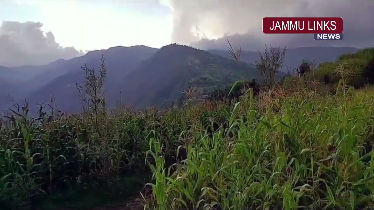Encounter in Jammu & Kashmir's Reasi; terrorist killed, cop and jawan injured