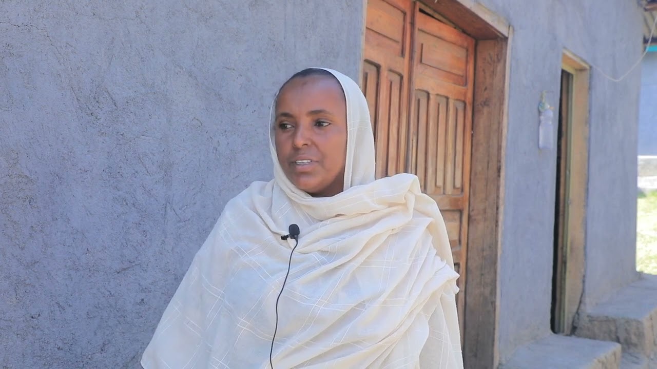 የመሬት ስርአት አያይዝ