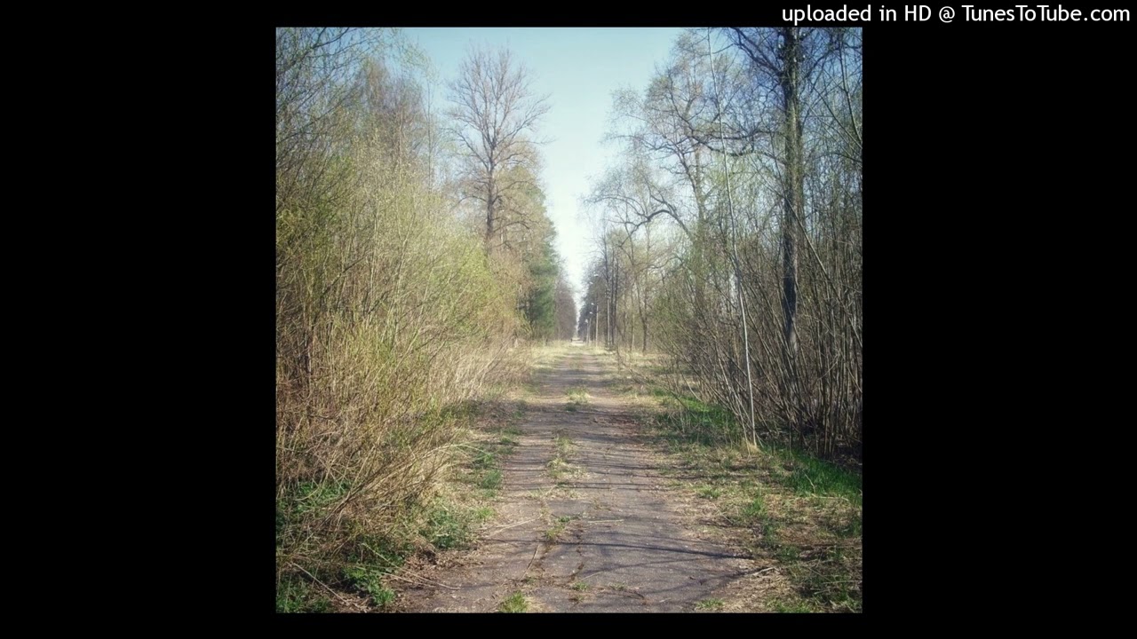 makkgin | ambient | vulture type beat