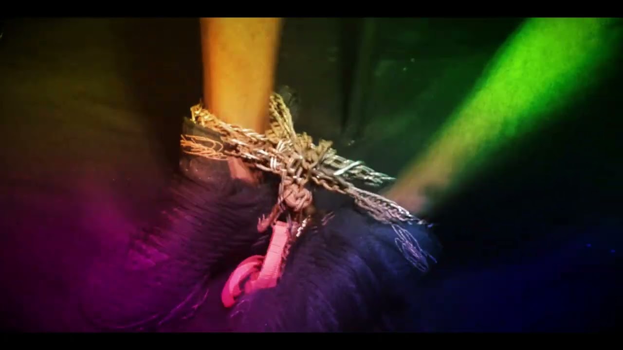 Heaven Stone Love Disease Official Music Video