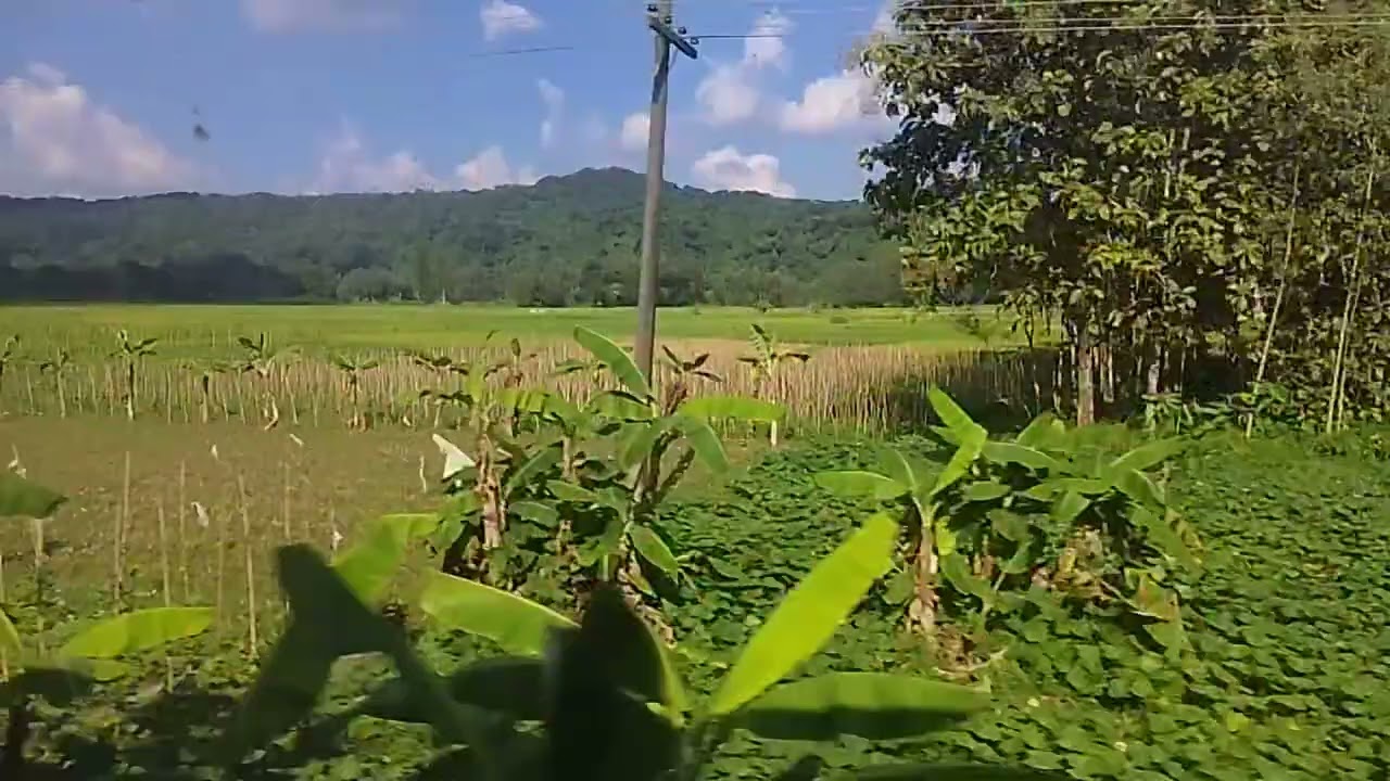 ফেনী হতে চট্রগ্রামে ট্রেন যাত্রা- সবুজ গাছপালা, পাহাড়ের অপূর্ব দৃশ্য। Feni to Chittagong by train.
