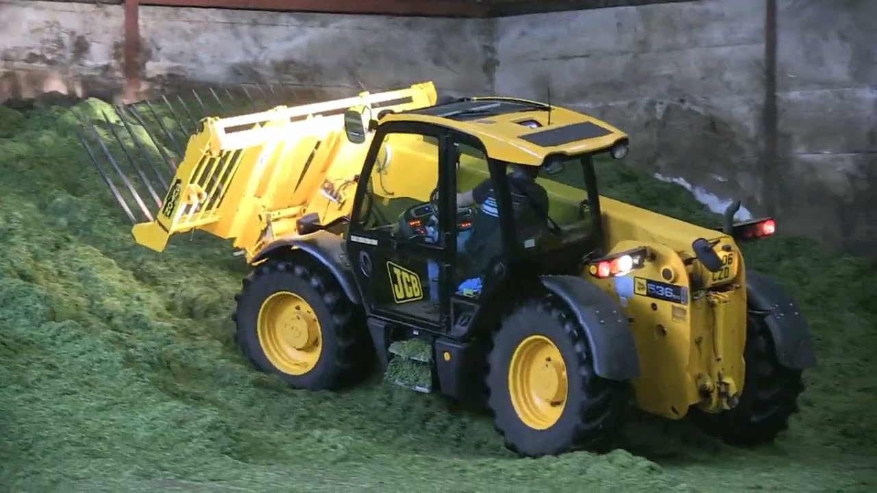 CLAMPING SILAGE WITH JCB LOADALL 536 60
