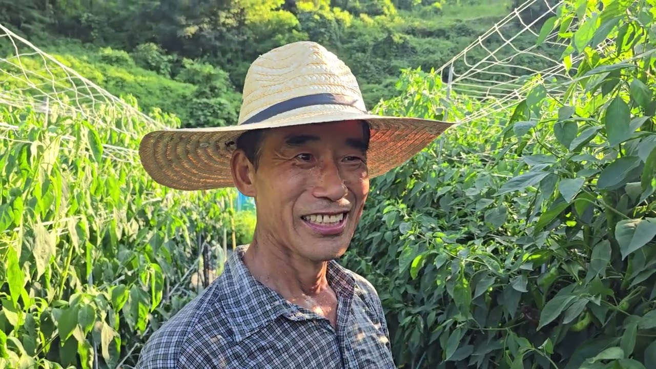 황금알농법 고추 돈버는농사