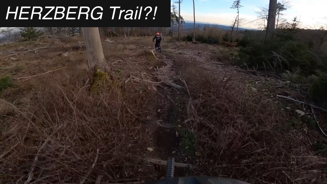 Trail auf dem HERZBERG im Taunus?!