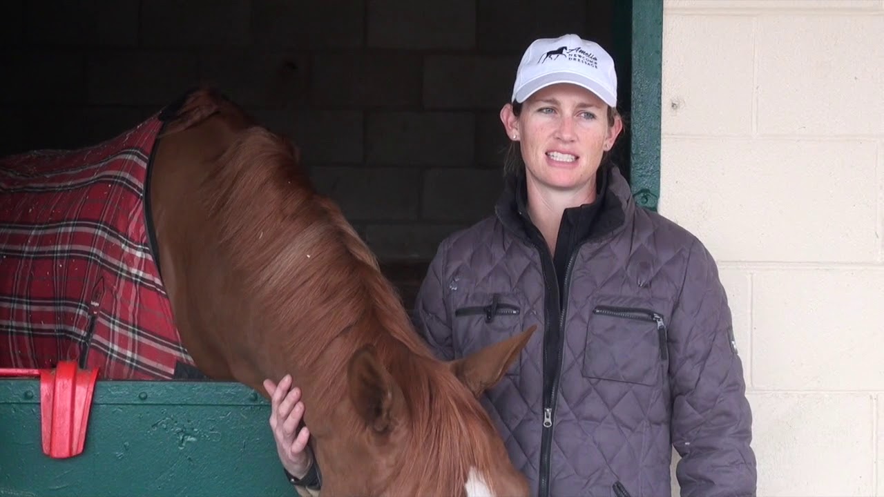 FEI Trainers Conference with Jo Hinnemann