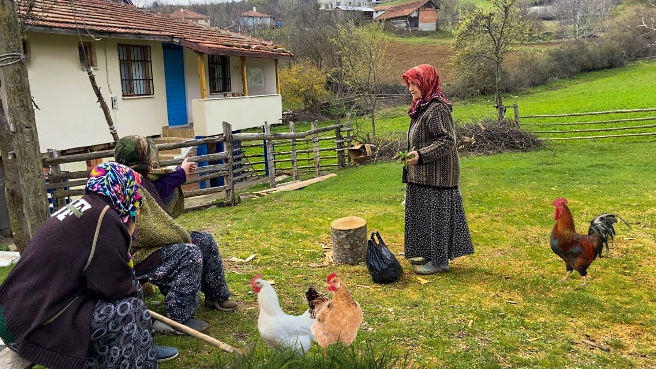 Жизнь в деревне. Ежедневные сельские дела. Жизнь в турецкой деревне.Деревенский документальный фильм