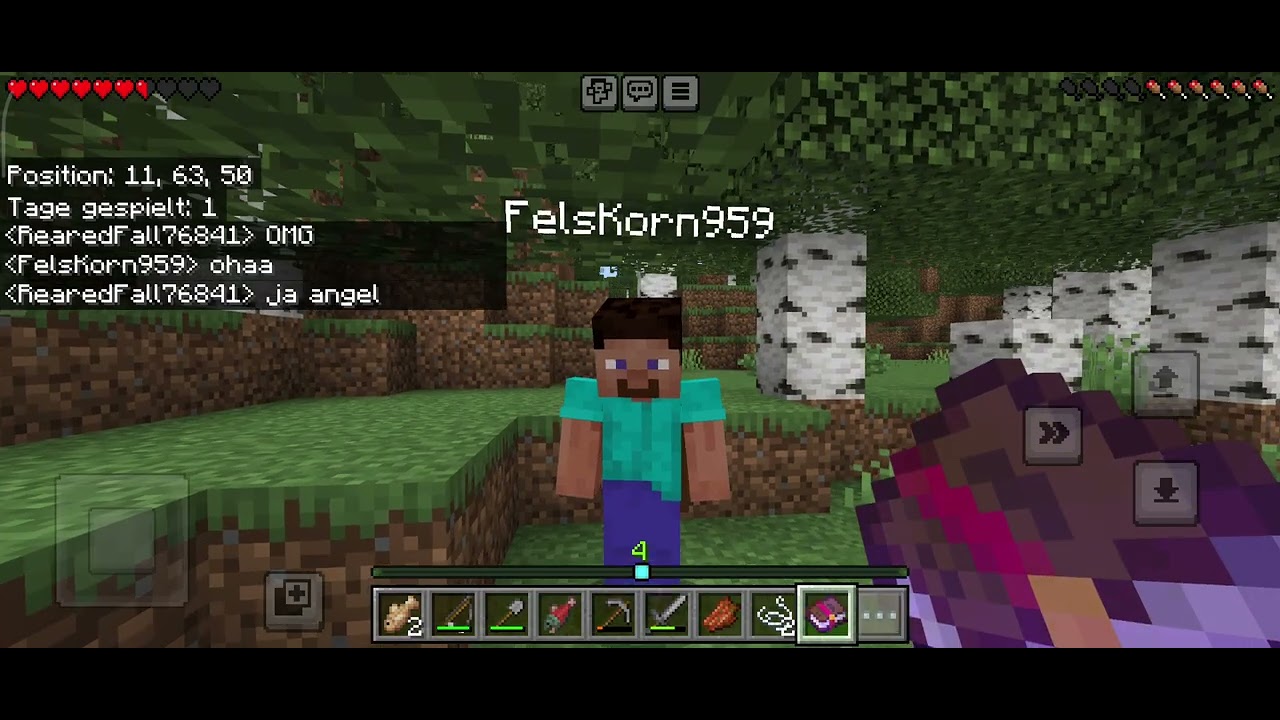 Mincraft Freunde 