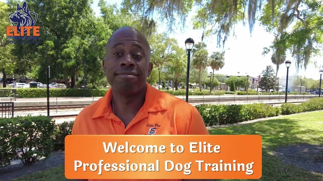 Welcome to Elite Professional Dog Training