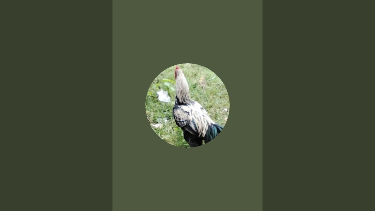 Selvam Baskaran is liveஉறவுகள்வணக்கம்🙏❤️🥰✨