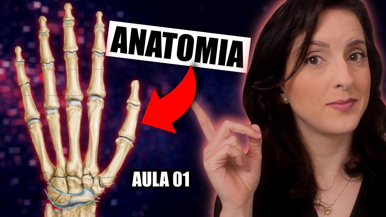Aprenda F&Aacute;CIL a Anatomia dos 27 Ossos da M&atilde;o: Falanges, Metacarpo e Carpo [PARTE 1/2]