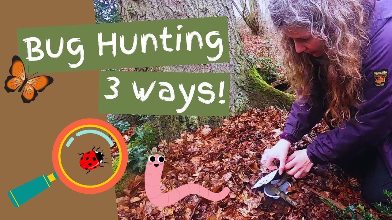3 Minibeast Sampling techniques for Forest School – Raw Forest School Training Clip