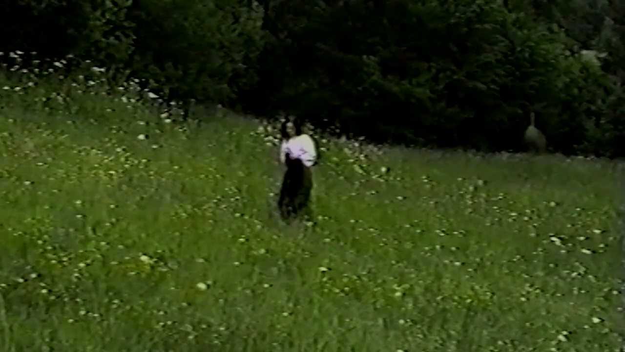 Lenuta_Cioata Trec anii... si se strecoara