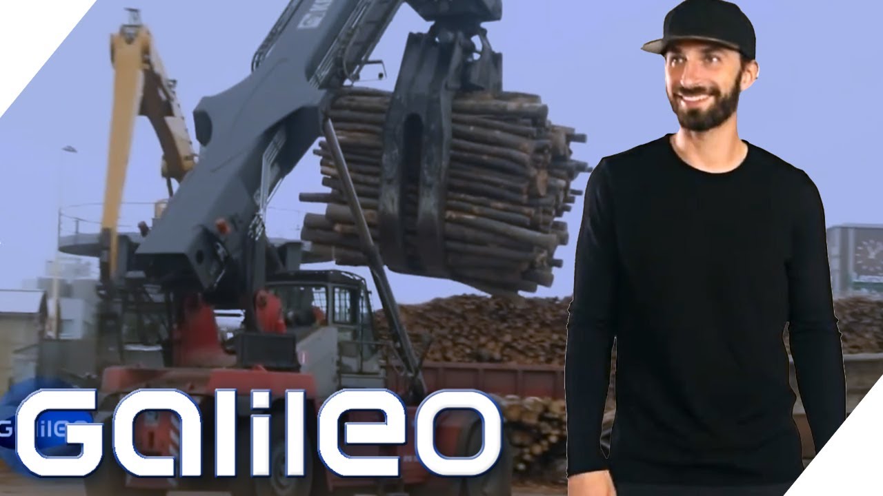 Kleidung aus Holz: Wie schlagen sich die Shirts in unserem Test? | Galileo | ProSieben