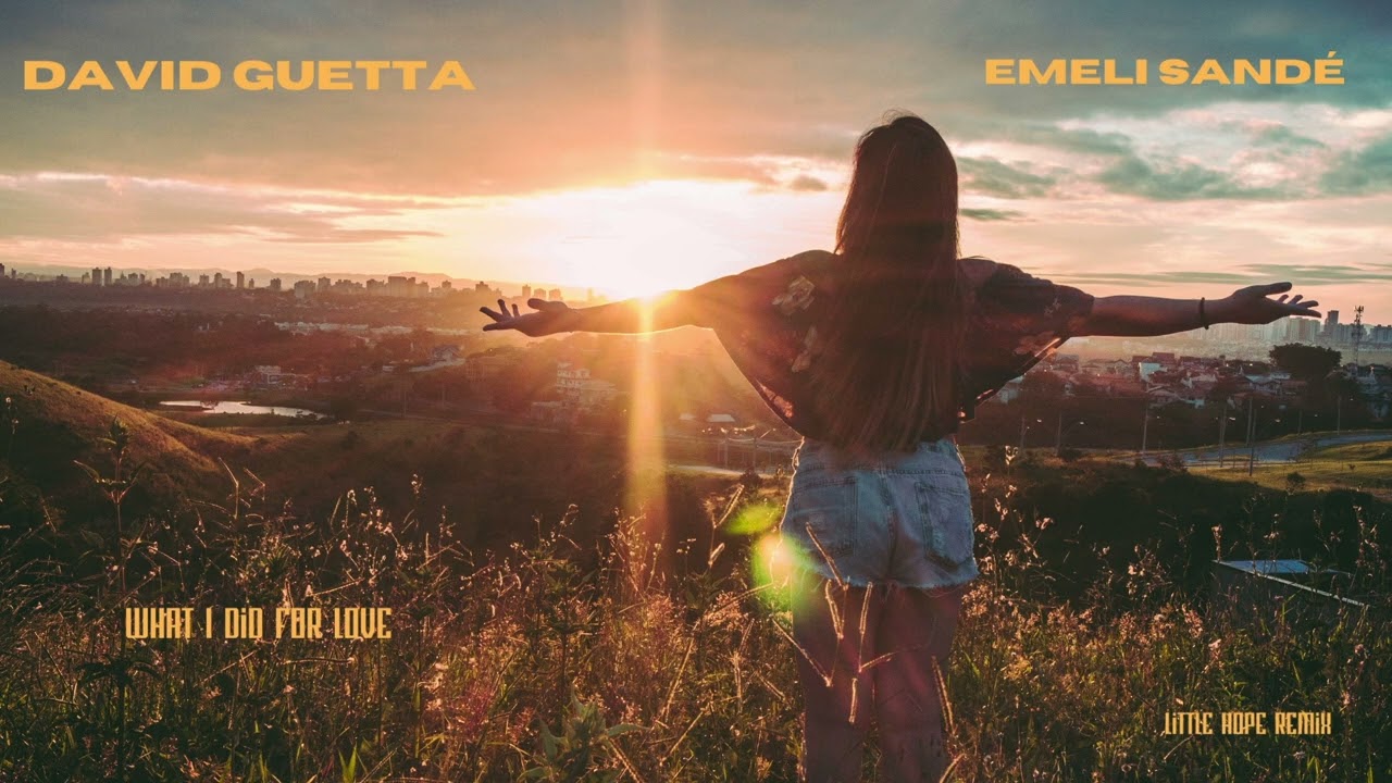 David Guetta - What I Did For Love ft Emeli Sand&eacute; (Little Hope Remix)