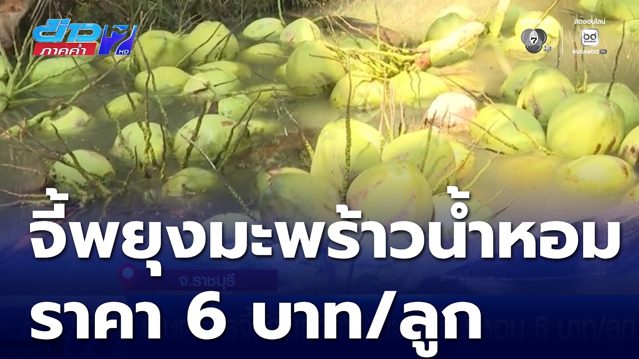 เกษตรกรจี้รัฐพยุงราคามะพร้าวน้ำหอม 6 บาท/ลูก | ข่าวภาคค่ำ