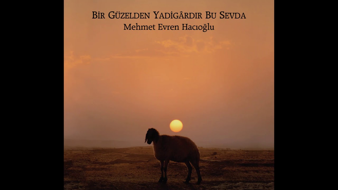 Mehmet Evren Hacıoğlu - Çifte Kuburları Çaktım Almadı