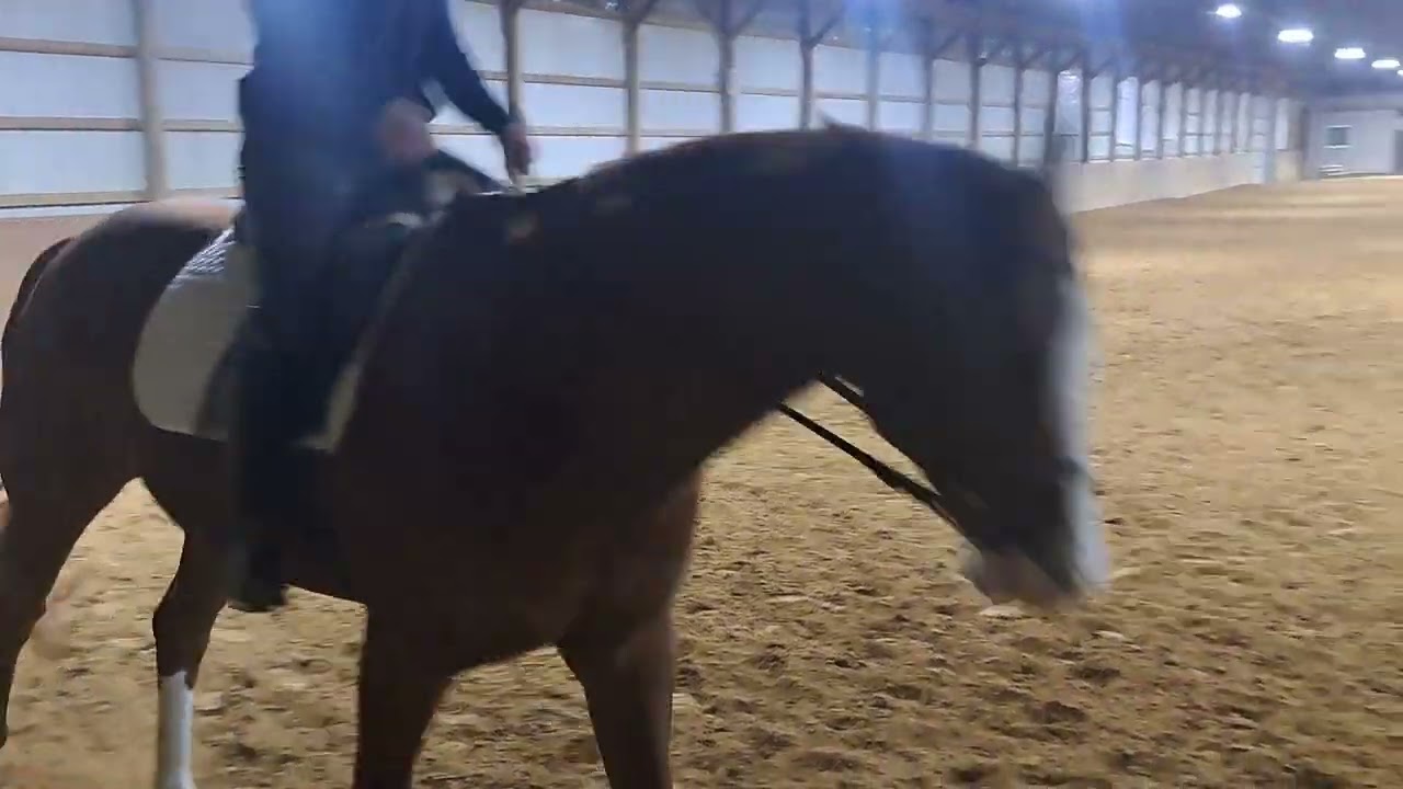 Nicole Archer - Goodwin Machine - Training Level Test 3