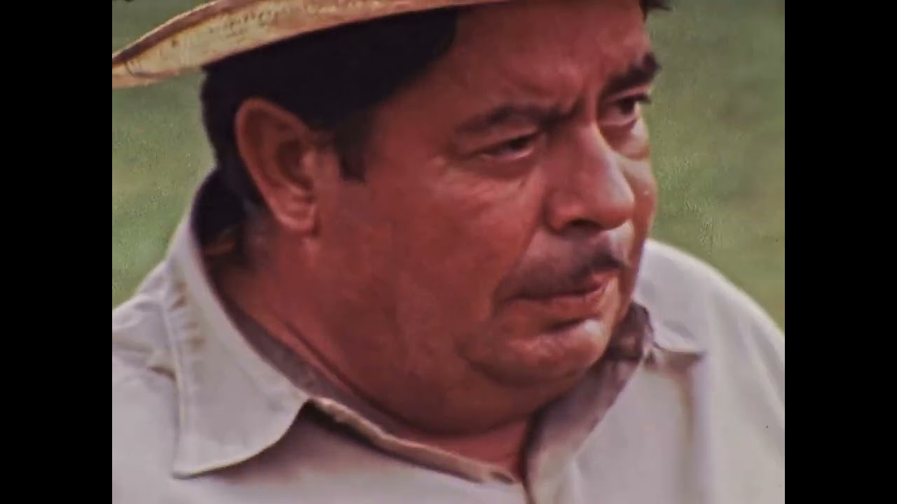 1970s 16mm News Film - Farmer w/ Horse & Crops, San Diego Area