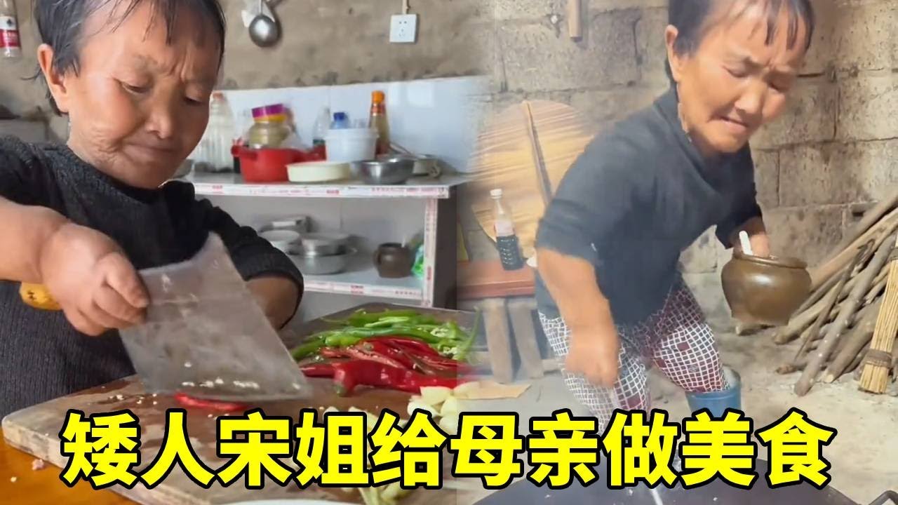 矮人宋姐上山采枞菌，没想到运气这么好，正好拿回去给妈妈炒枞菌！#农村生活#袖珍人