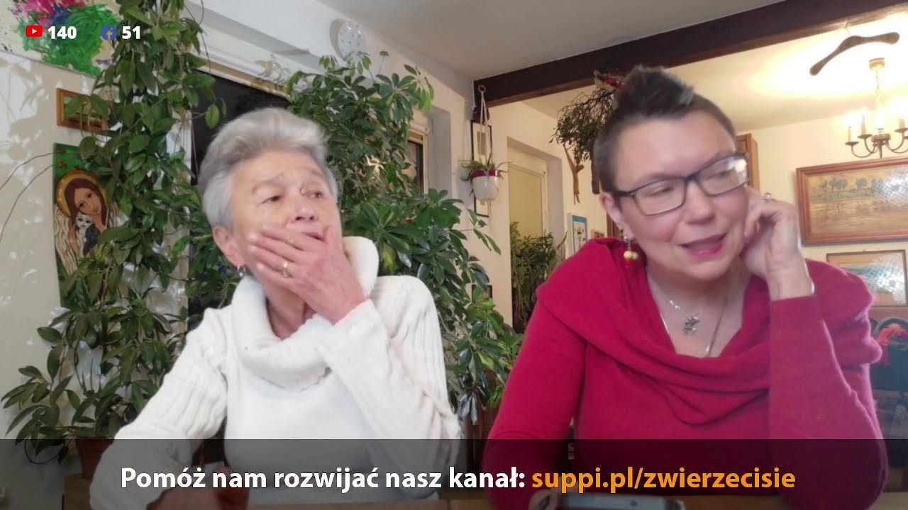 Pytania i odpowiedzi 28 lutego 2026