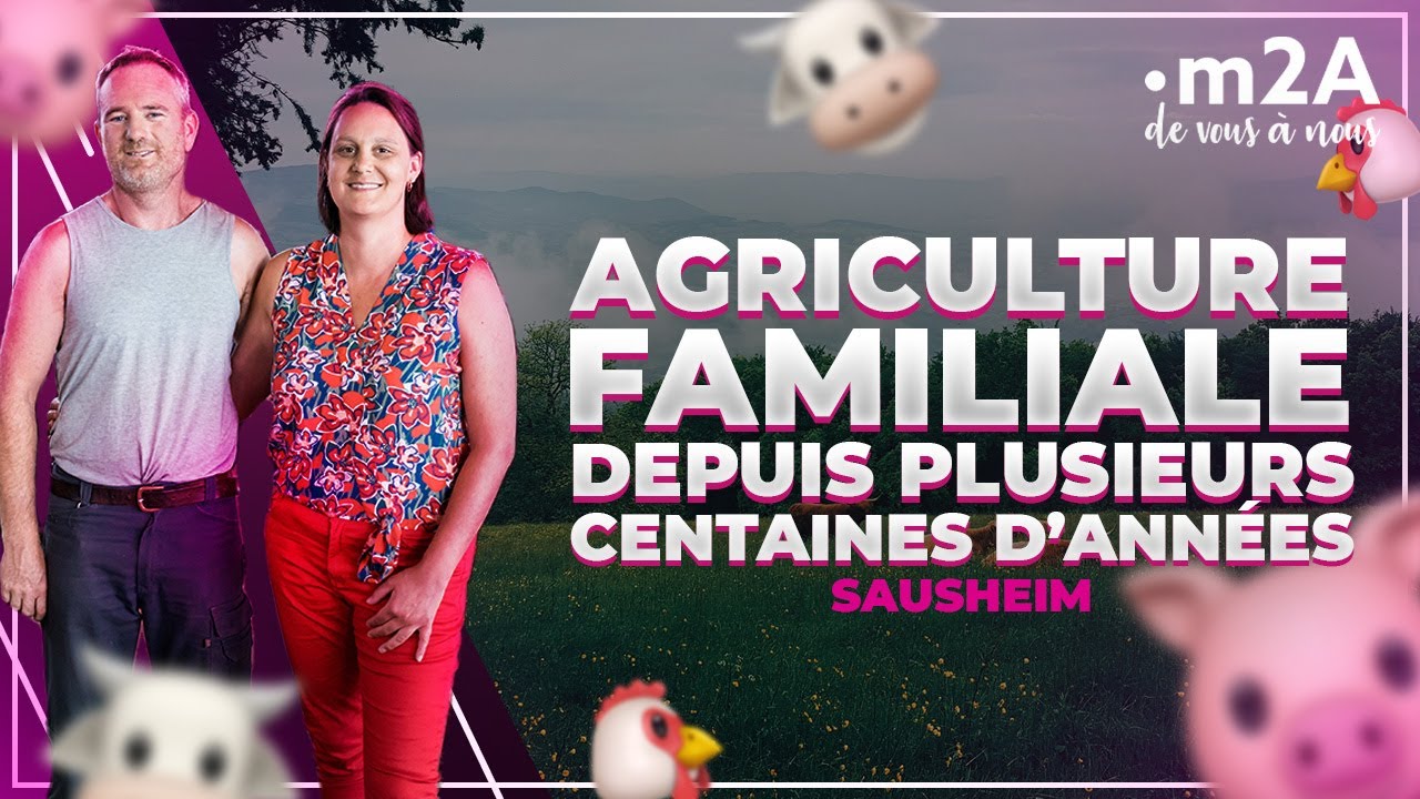 D&eacute;couvrez la ferme de l'Ill &agrave; Sausheim avec Anne-Catherine et Fr&eacute;d&eacute;ric Tritsch | m2A de vous &agrave; nous