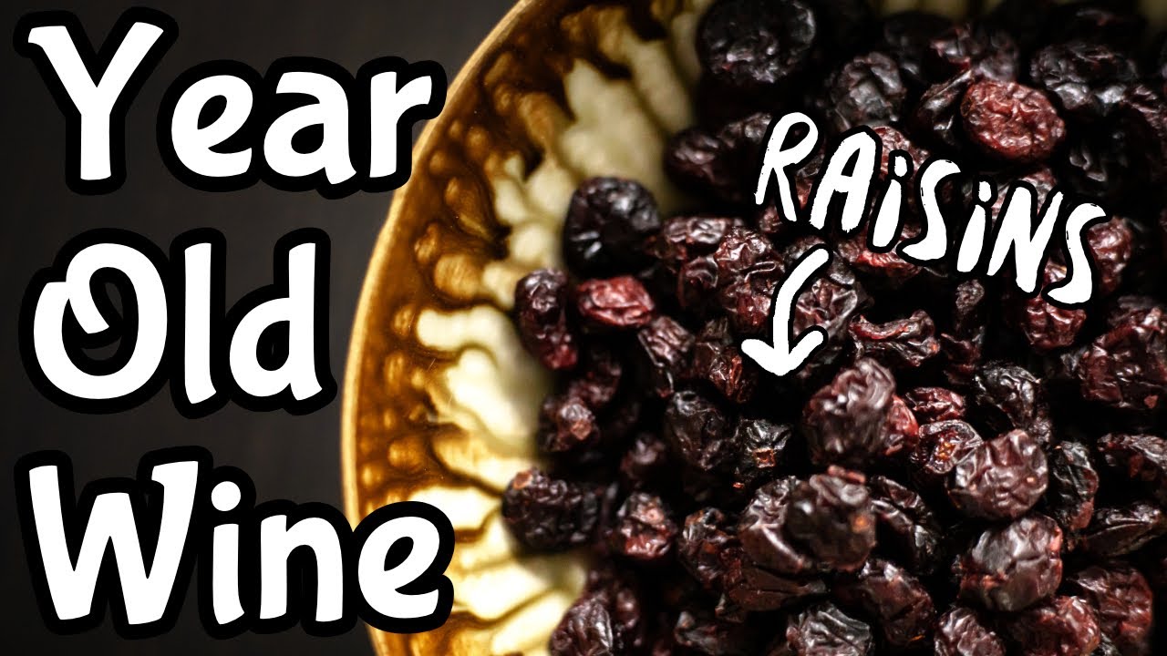 Raisin Wine One Year Tasting - Any Better?