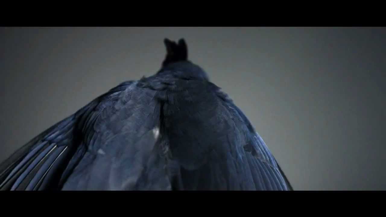 Drake Feat. Rihanna -- Take Care Official Music Video   DRIZZYDRAKE.ORG.mp4