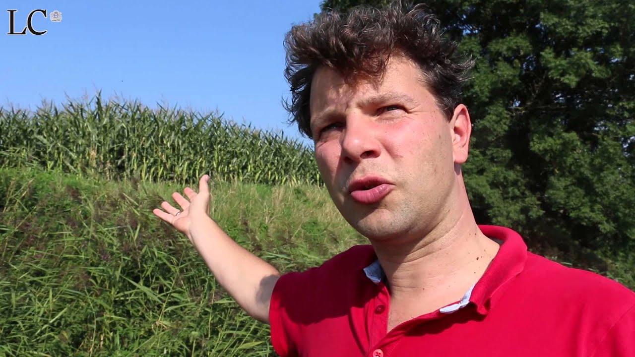 Mijn Streek 12: Middag- en Humsterland