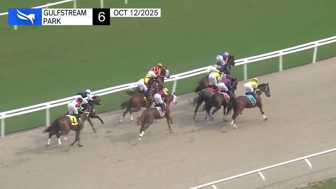 Повтор шоу в Gulfstream Park | 12 октября 2025 г.